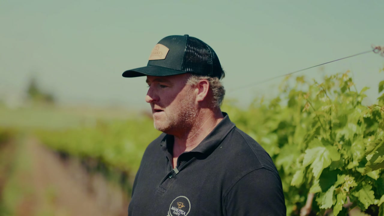 Hunter Teafatiller in DJ Forry vineyard